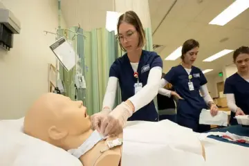 Best Online Nursing Programs for Working Adults in 2026